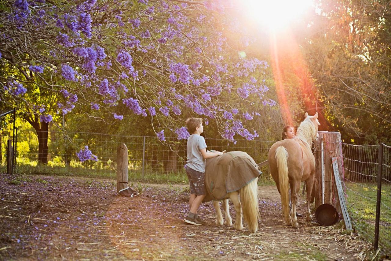 Pinbarren Green Lodges Noosa Eksteriør billede